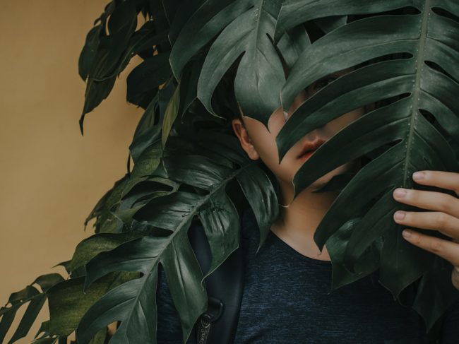 Fraude par usurpation d'identité de la DGFIP